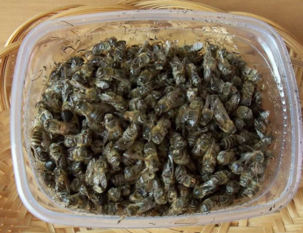 Настоянки на спирту: найкращі рецепти в домашніх умовах   з прополісом, чистотілом, на журавлині, на кедрових горішках, на лимоні, на імбирі, на смородині і не тільки